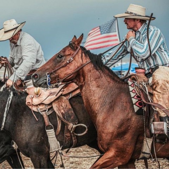 Meet your Posher, Wyatt - Picture 1 of 1